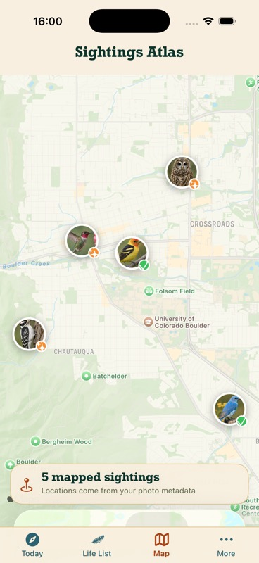 Feather Trove sightings atlas showing bird observations on a private map
